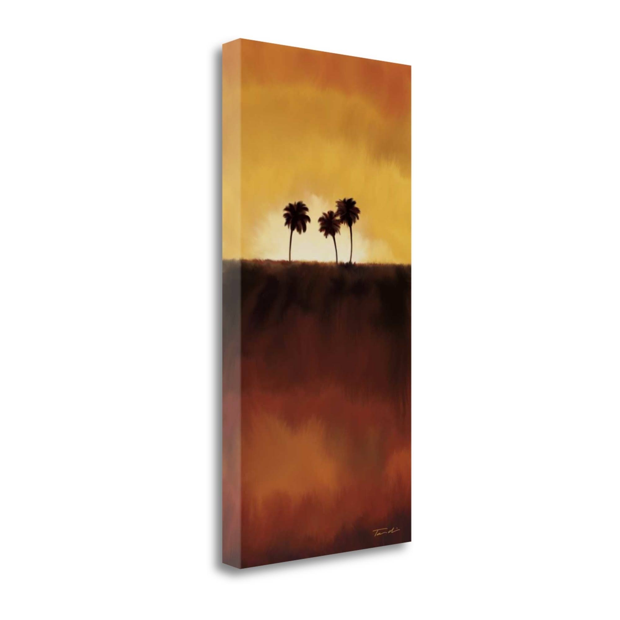 Tangletown Fine Art Sunset Palm I by Tandi Venter, Giclee Print on Gallery Wrap Canvas, 17x22X34x22