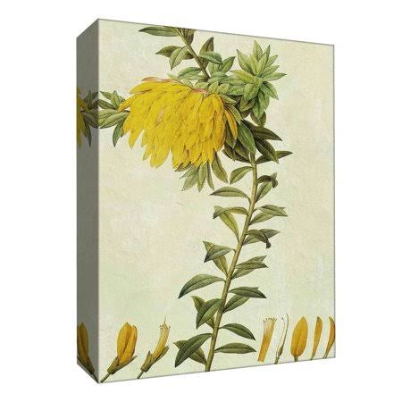 PTM Images,Life Combination II, 16x20, Decorative Canvas Wall Art, Size: 16 x 20