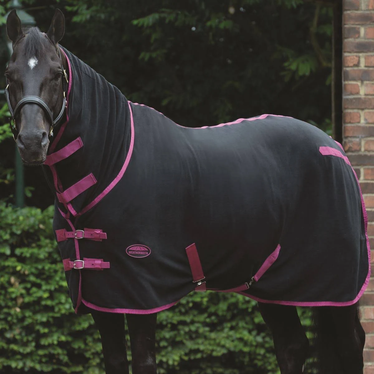 Weatherbeeta Fleece Combo Neck Cooler Black/Turquoise / 69