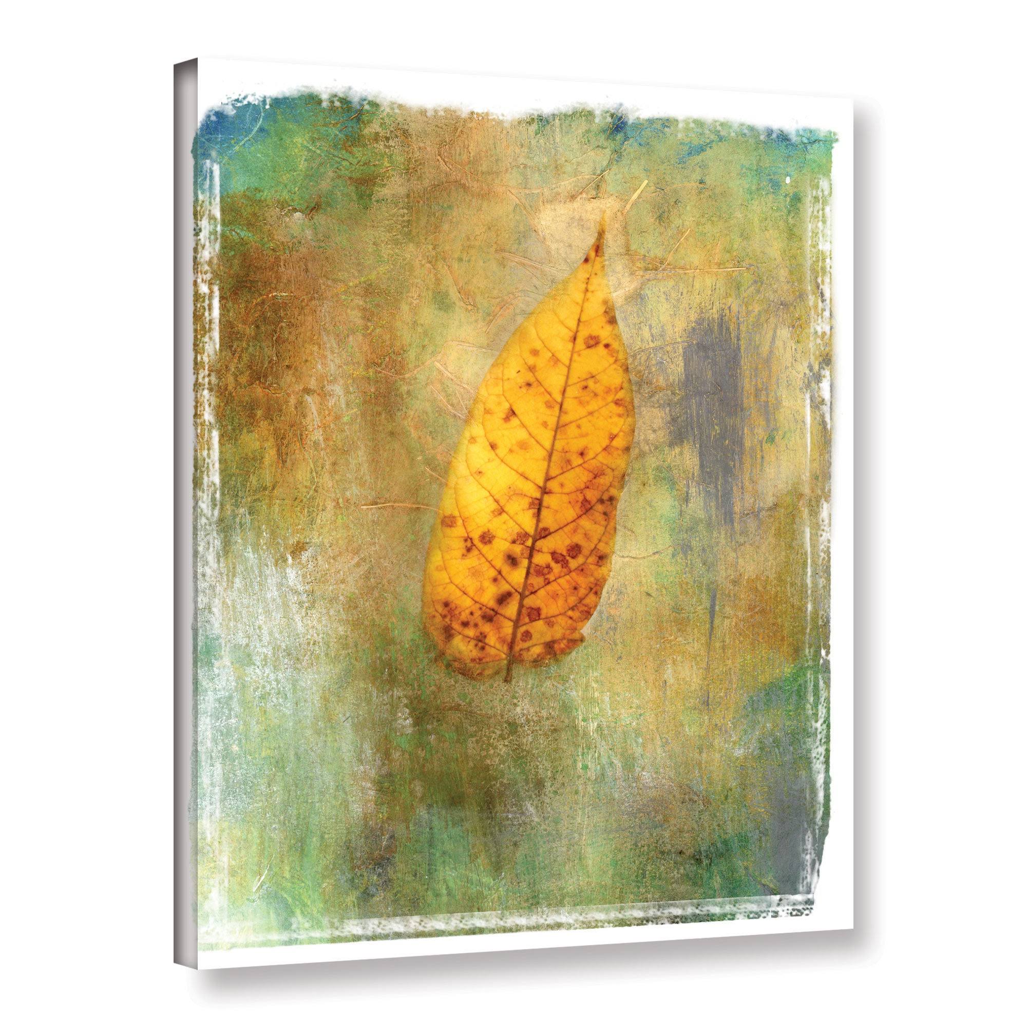 ArtWall Elena Ray & Leaf II & Gallery-Wrapped Canvas - Multi