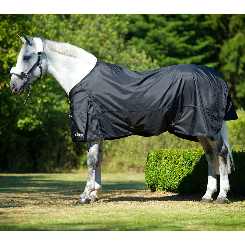 Back on Track Therapeutic Turnout Sheet