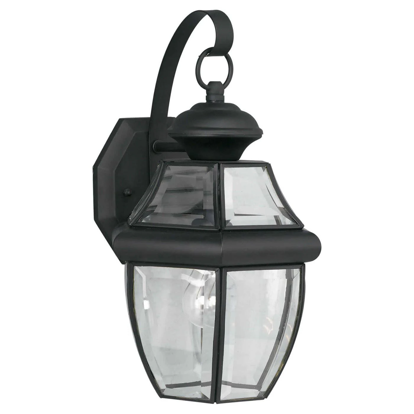 Forte Lighting 1 Light Outdoor Wall Lantern, Black