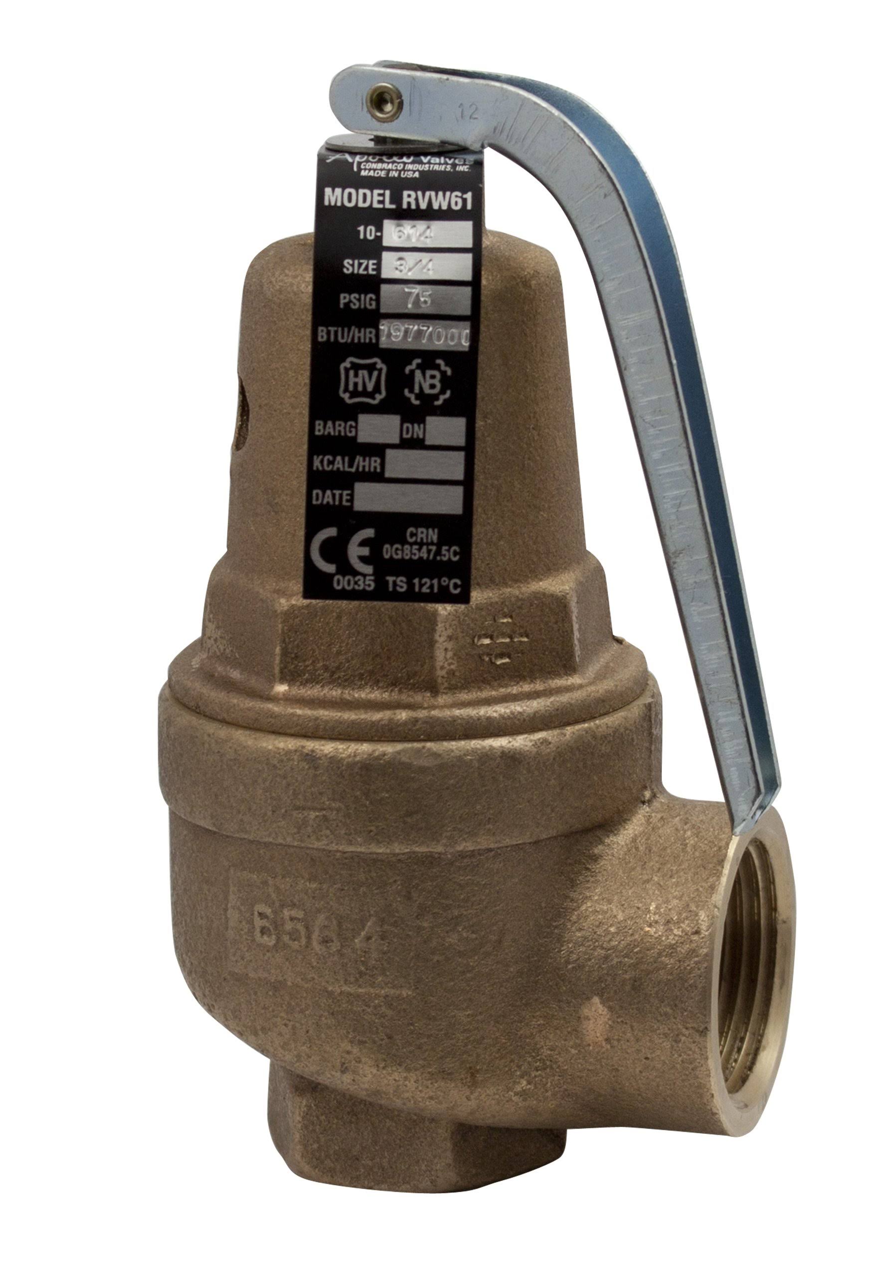 Apollo Valves 1061515 1-Inch FNPT x 1-1/4-Inch FNPT RVW61 3,200,000 BTU Bronze Hot Water Relief Valve (75 PSI)