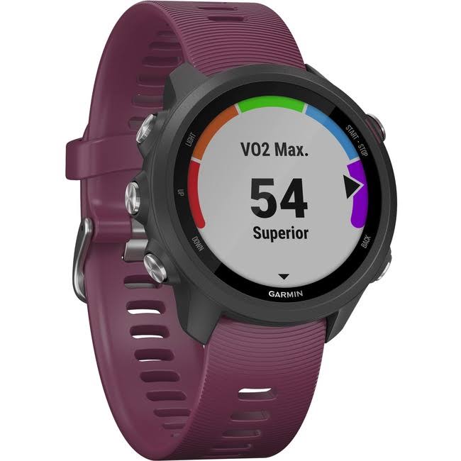 Garmin Forerunner 245 GPS Watch