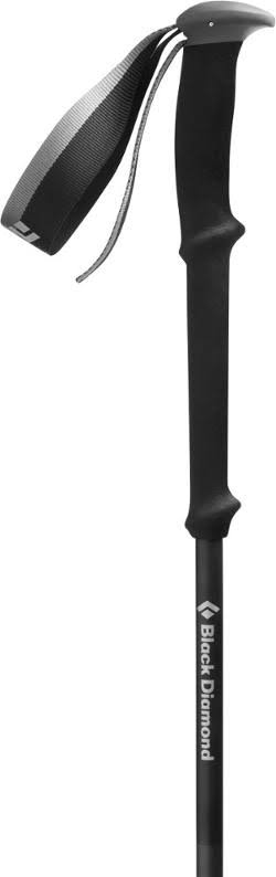 Black Diamond Vapor Carbon Ski Poles - 120 cm
