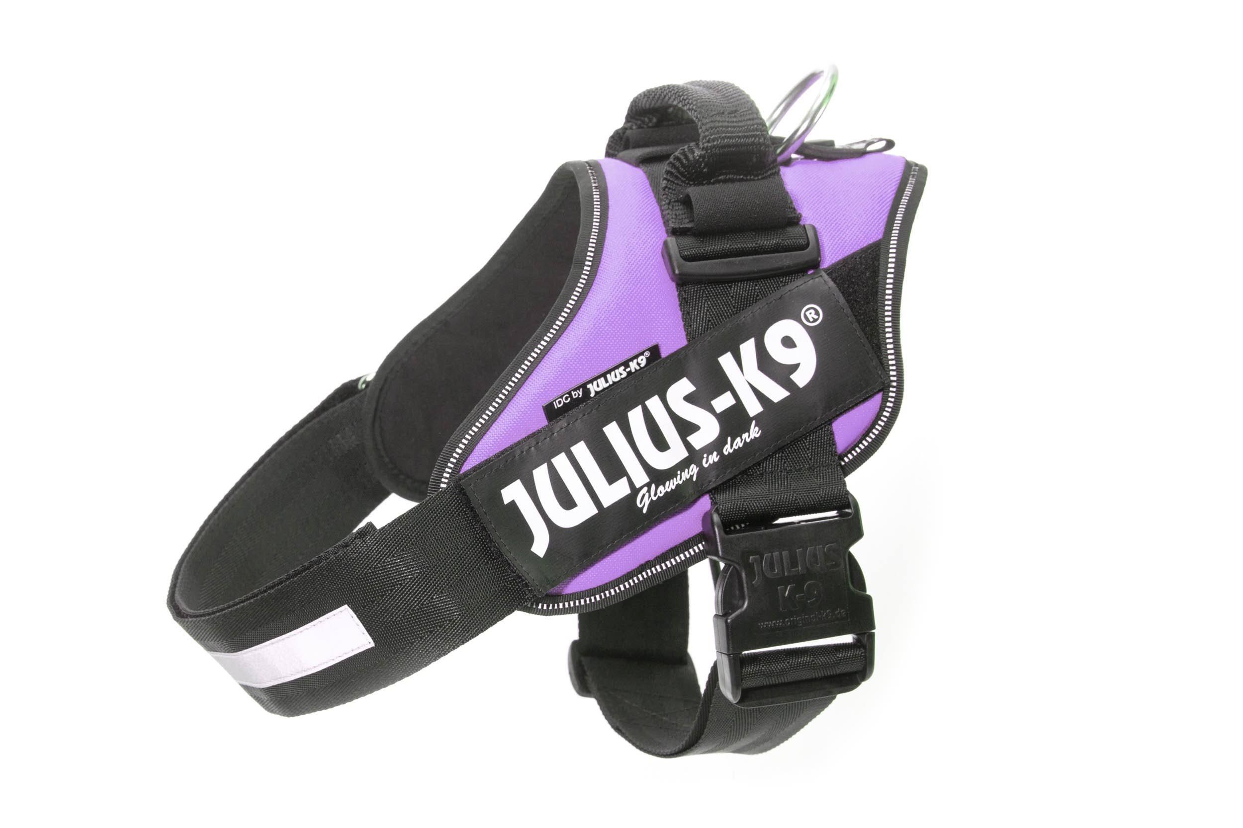 Julius-K9 IDC Powerharness, Purple / Size 2
