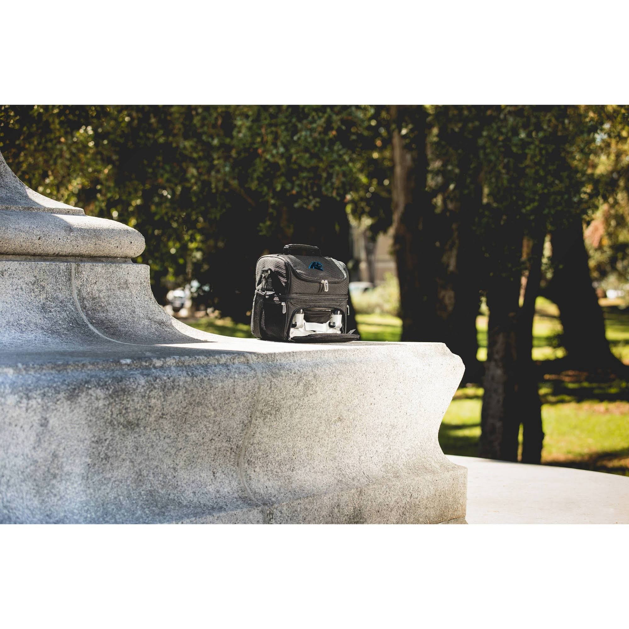 Picnic Time Black Carolina Panthers Pranzo Lunch Tote