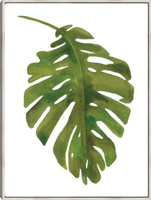 Tropical Palm I Framed Canvas Art by Wild Apple Portfolio Barnwood 24x32 Fineartcanvas