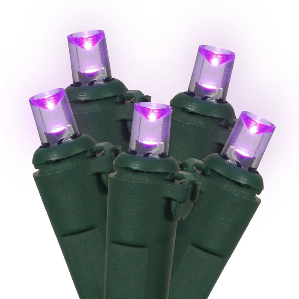 Vickerman X4G0016 100 Light LED Purple-Green Wire Wide Angle EC