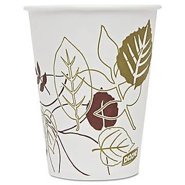 Dixie Pathways Polycoated Paper Cold Cup (Set of 2400)
