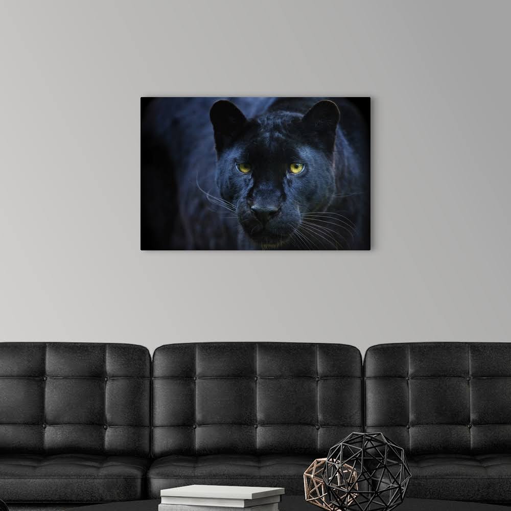 Black Panther | Large Solid-Faced Canvas Wall Art Print | Great Big Canvas