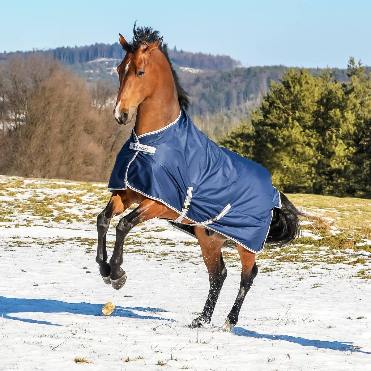 Bucas Freedom Turnout 150g Navy