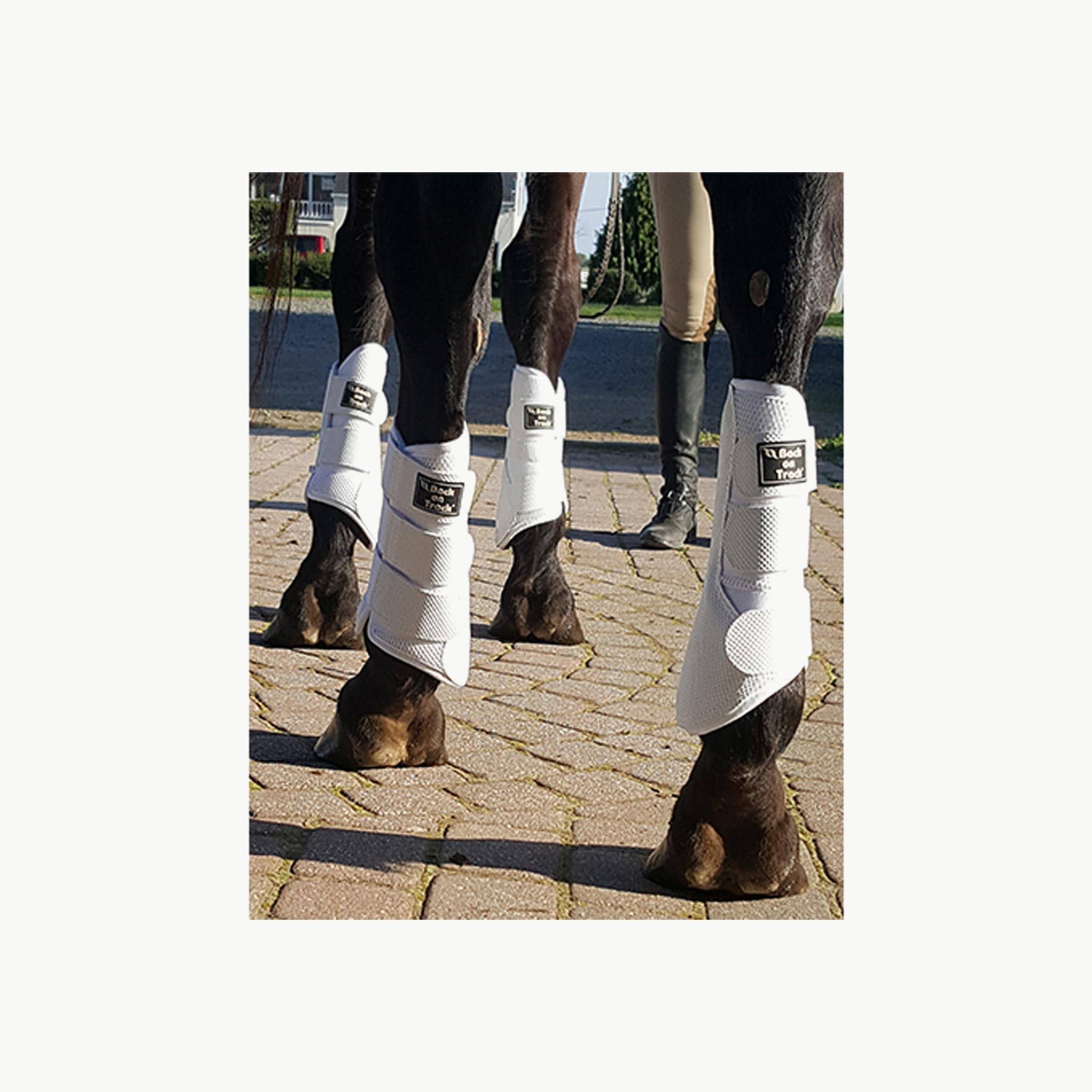 Back on Track Splint Boots Small / White