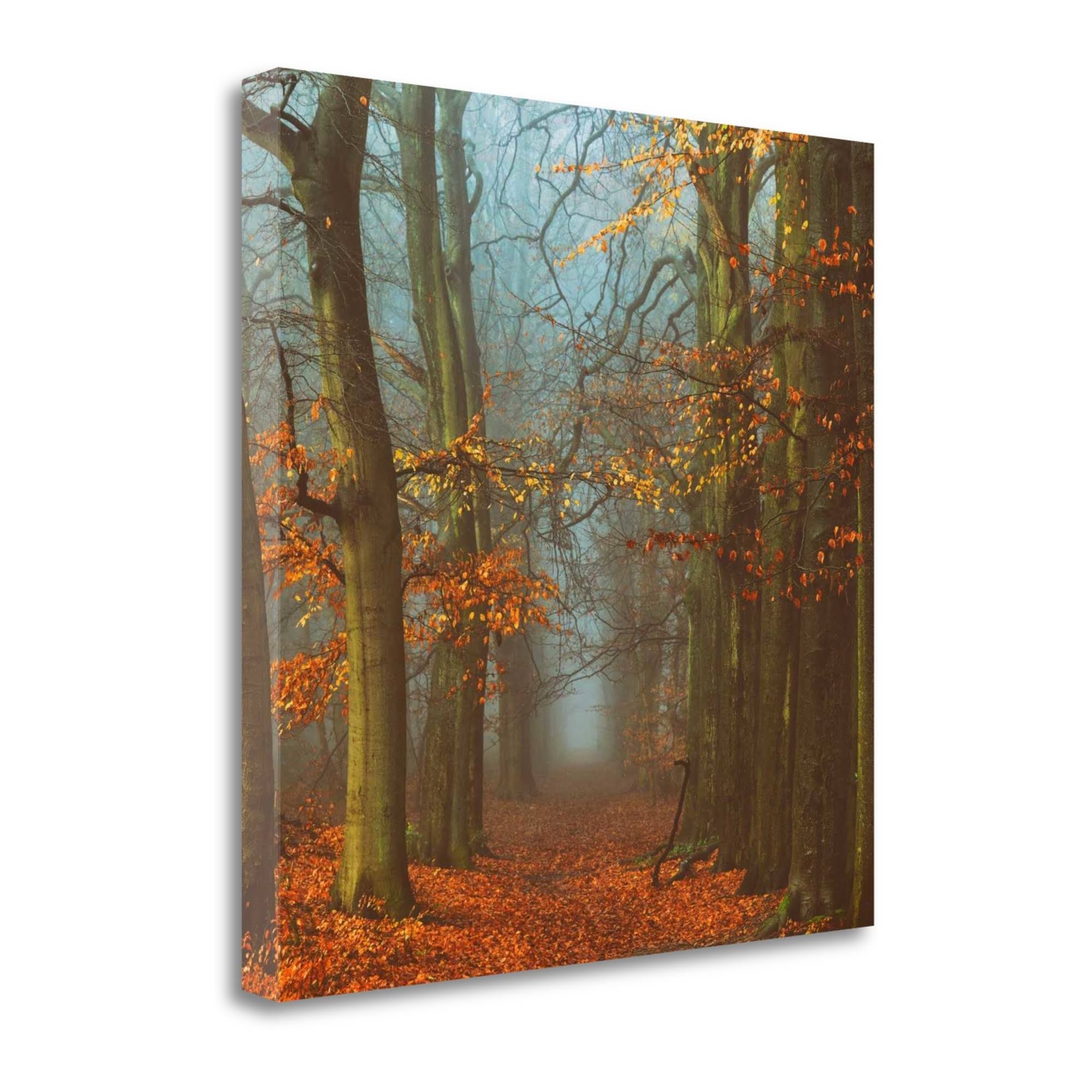Tangletown Fine Art Path of The Mystics by Lars Van De Goor, Giclee Print on Wrap Canvas, 35x35x22