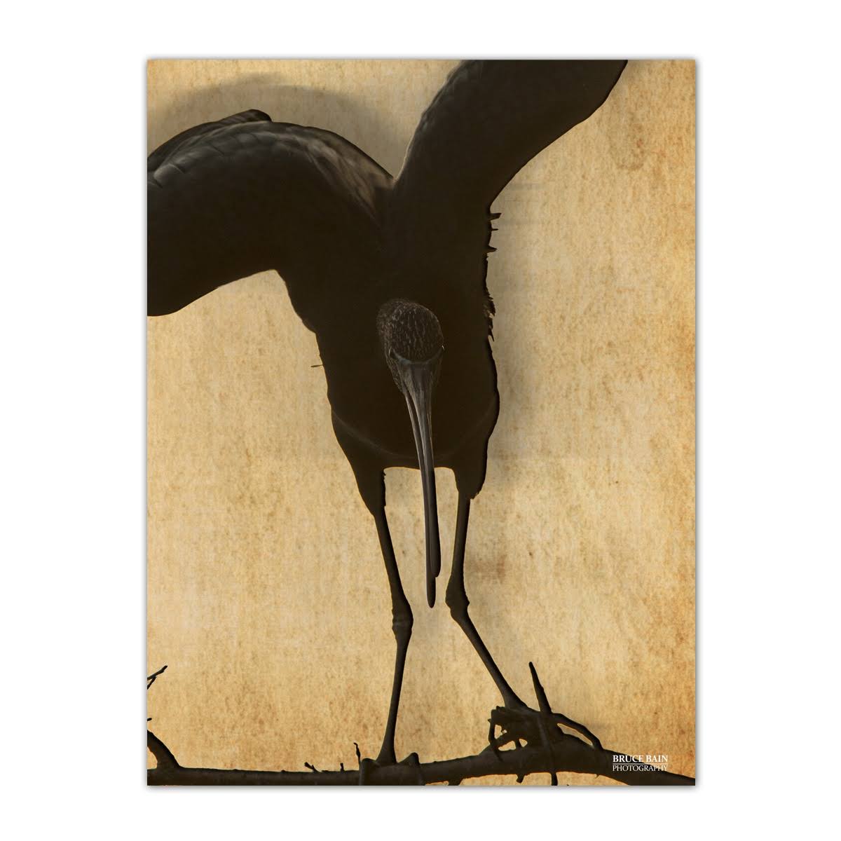 Egret Silouette& Photographic Wrapped Canvas Wall Art