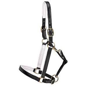Dover Saddlery Lined Halter, 535008980, Black u0026 White