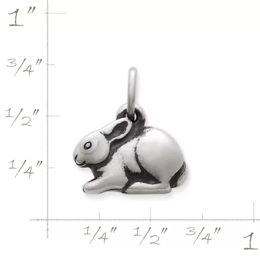 Cottontail Rabbit Charm