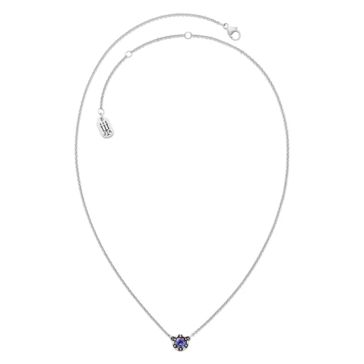 Cherished Birthstone Necklace