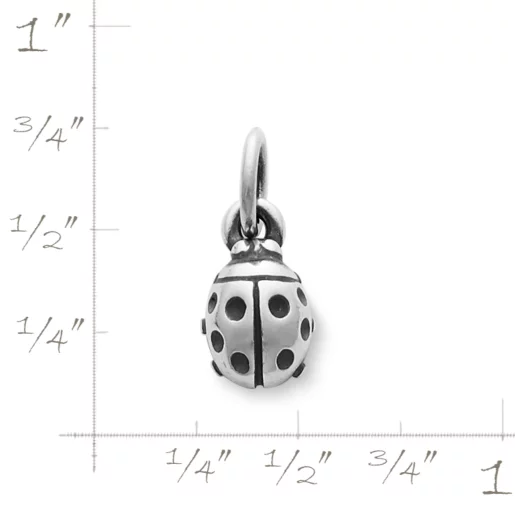 Ladybug Charm