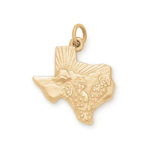 Texas Landscape Charm