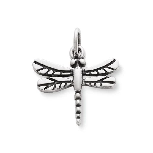 Dragonfly Charm