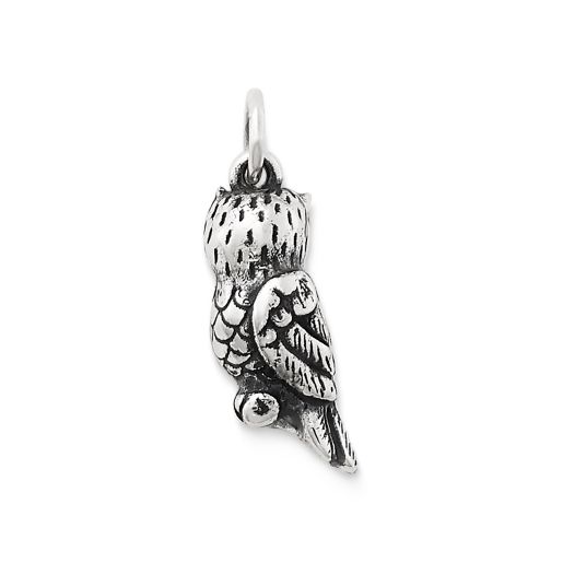 Sculpted Owl Charm