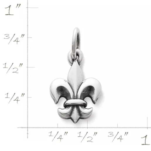 Fleur-De-Lis Charm