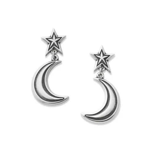 Starry Night Drop Earrings