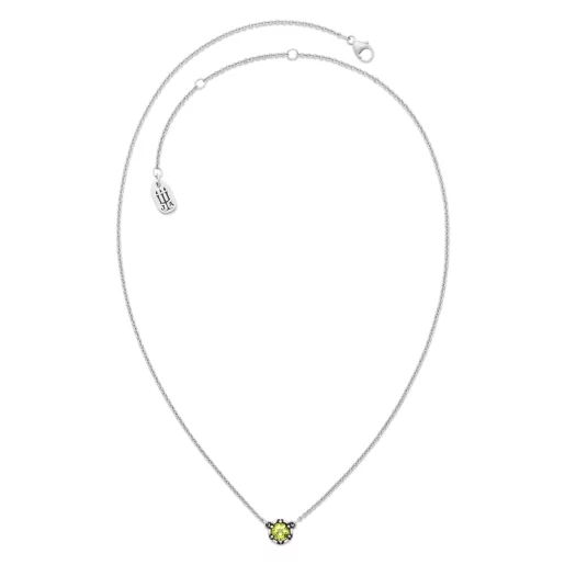 Cherished Birthstone Necklace