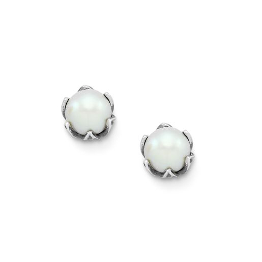 Cultured Pearl Pod Studs