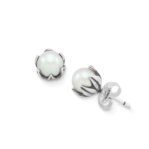 Cultured Pearl Pod Studs