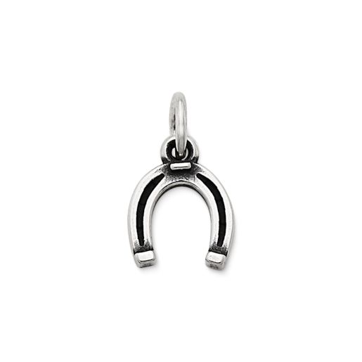 Horseshoe Charm