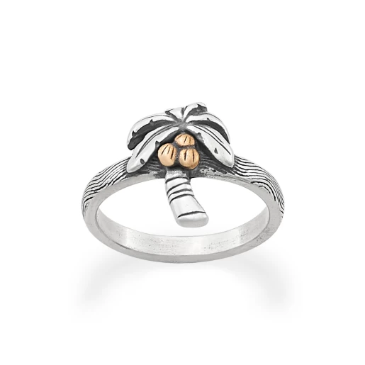Tropical Palm Tree Ring