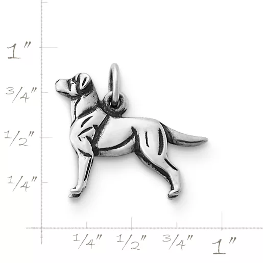 Labrador Retriever Charm
