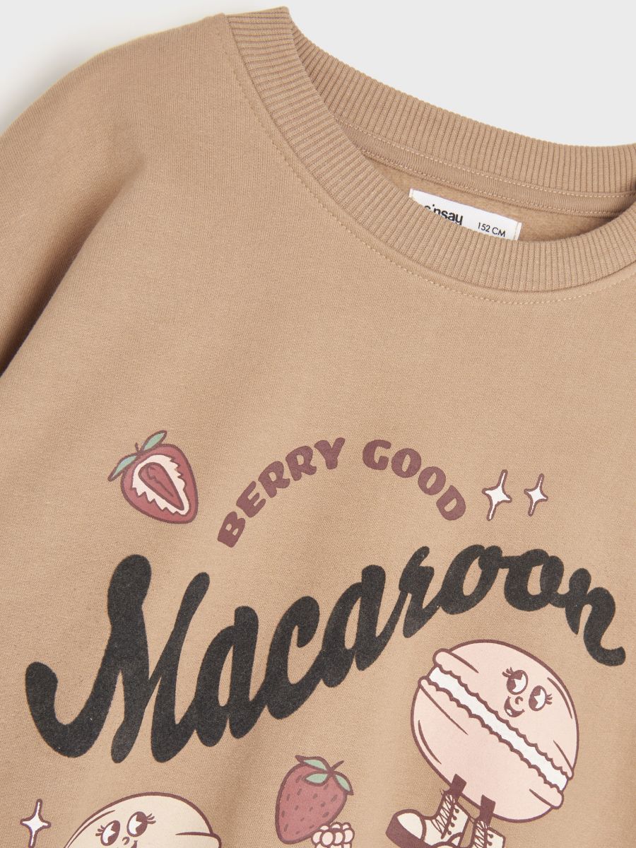Bluza z nadrukiem Kolor brązowy  WJ522-84X