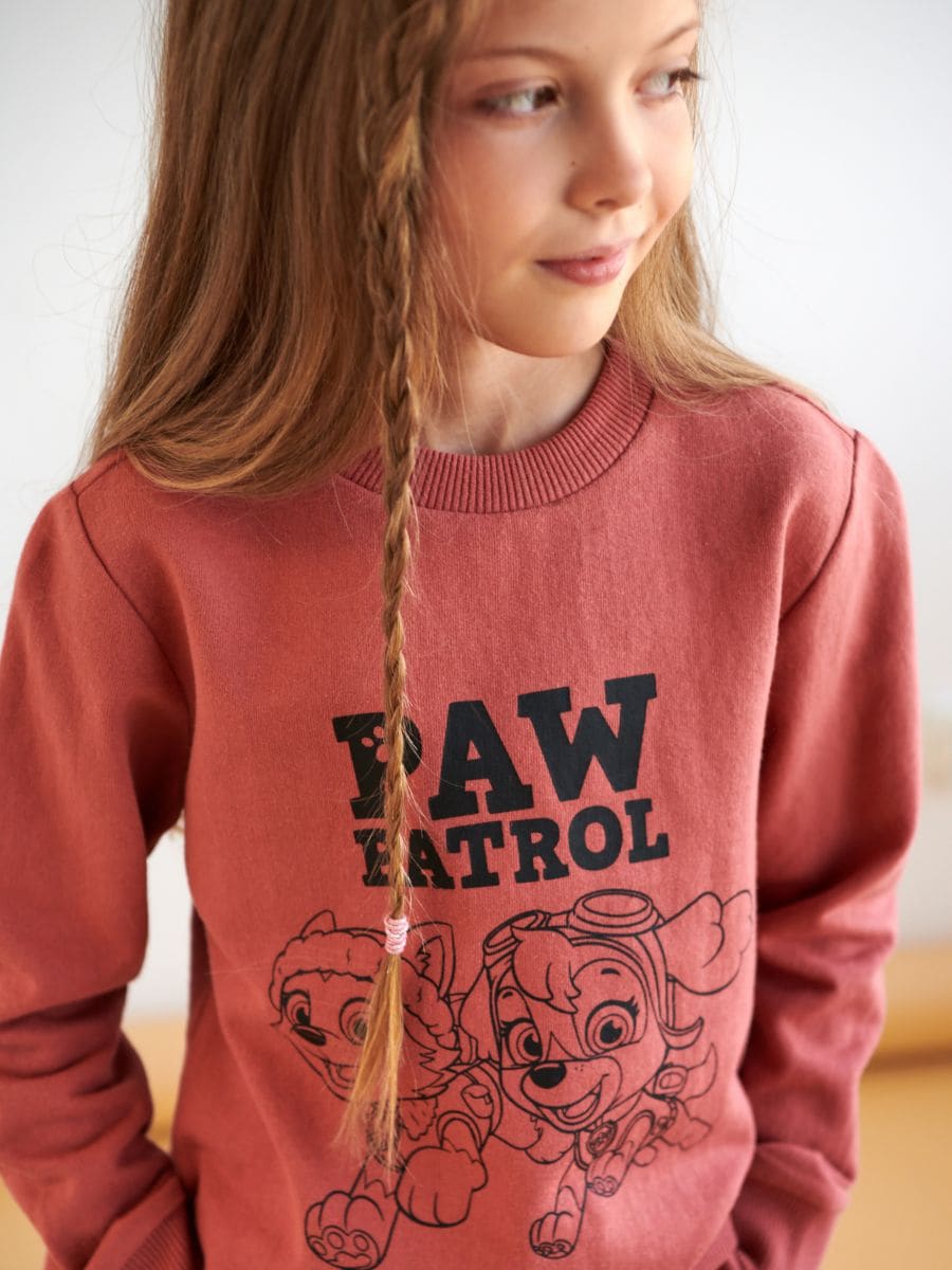 Bluza Psi Patrol Kolor brązowy  8520M-84X