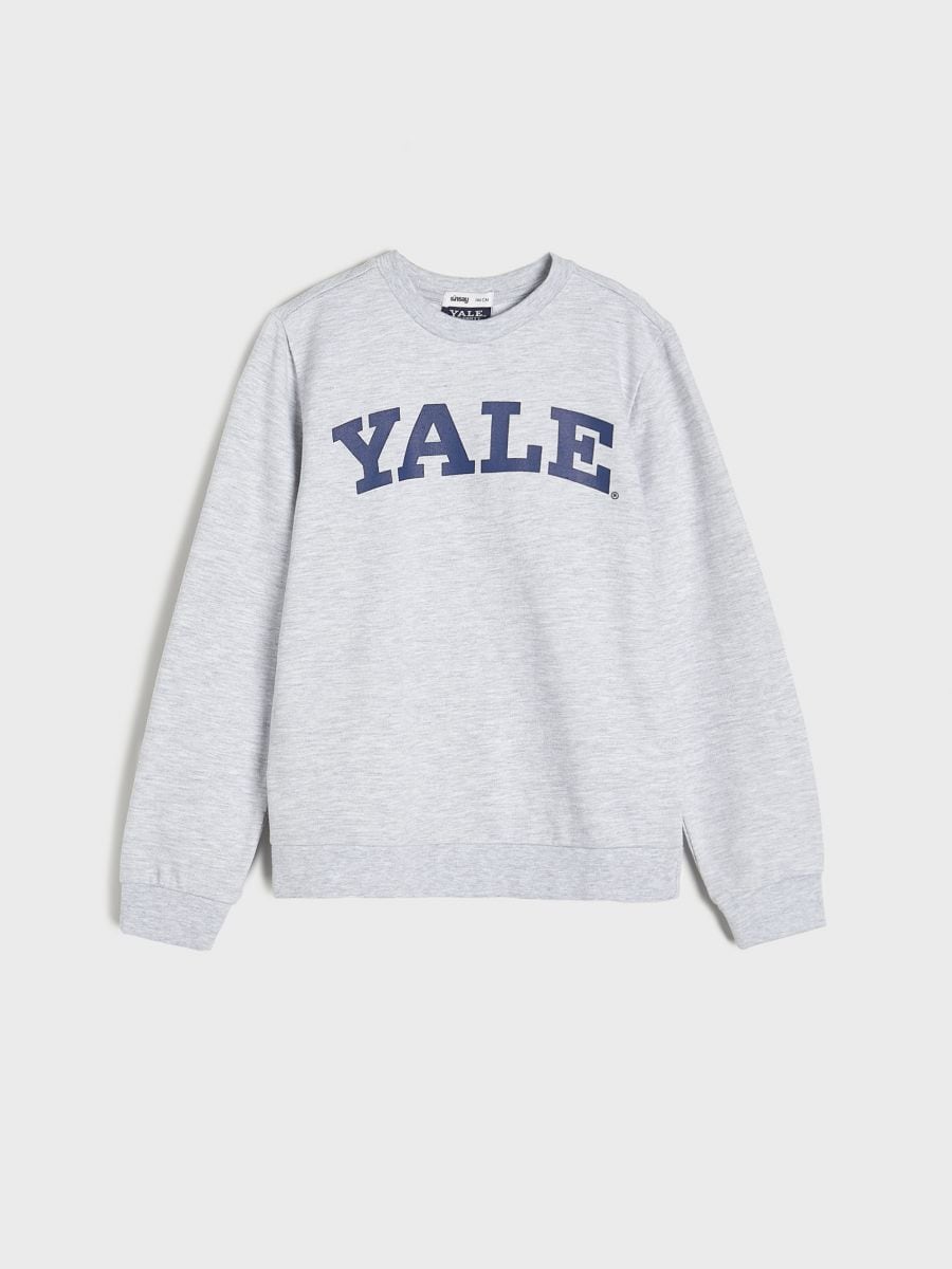 Bluza Yale Kolor szary  4326O-09M