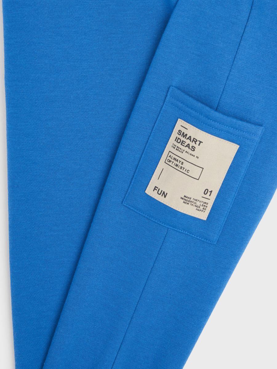 Spodnie dresowe jogger Kolor niebieski  WJ875-55X