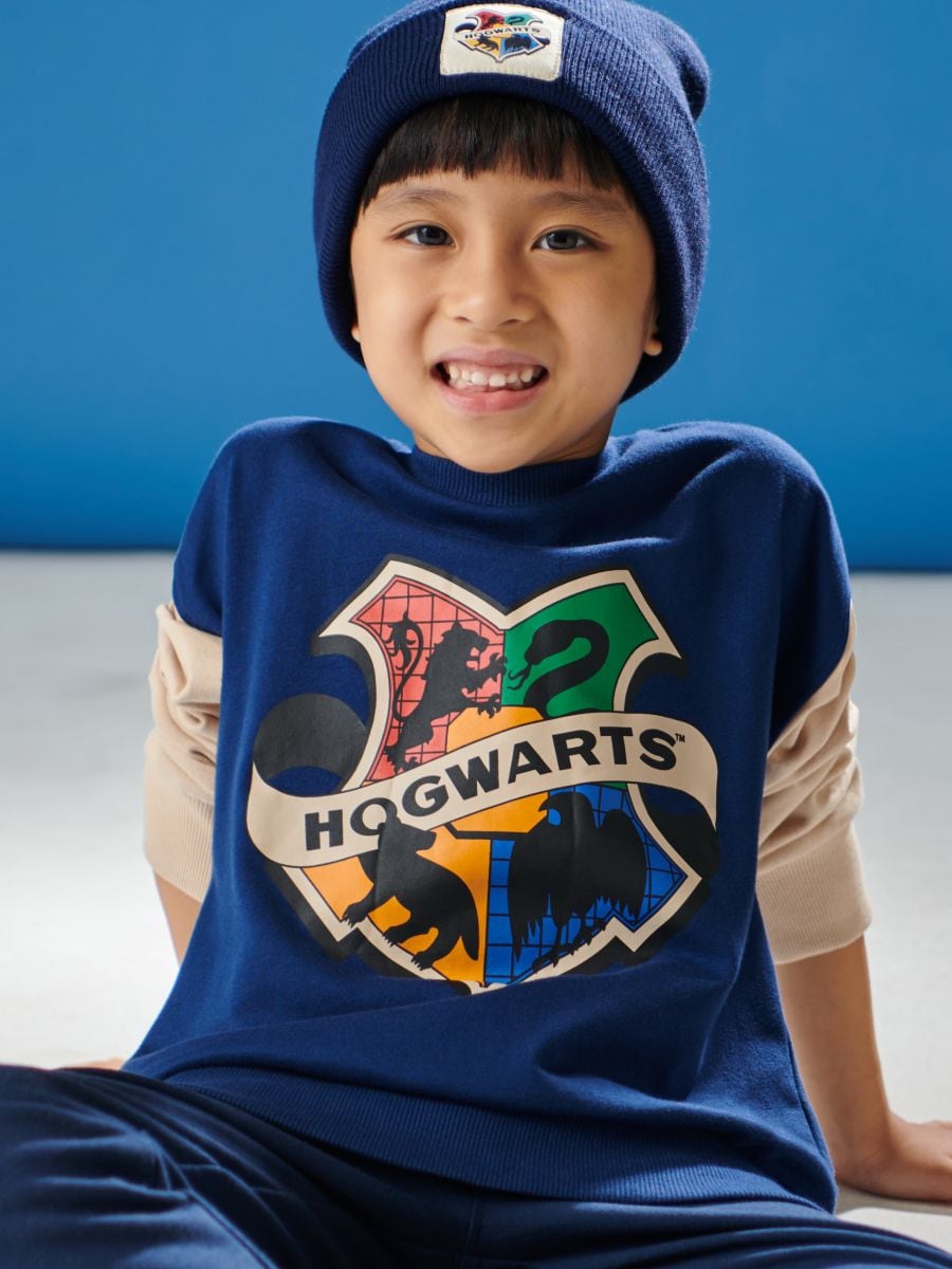 Bluza Harry Potter Kolor niebieski  6773M-54X
