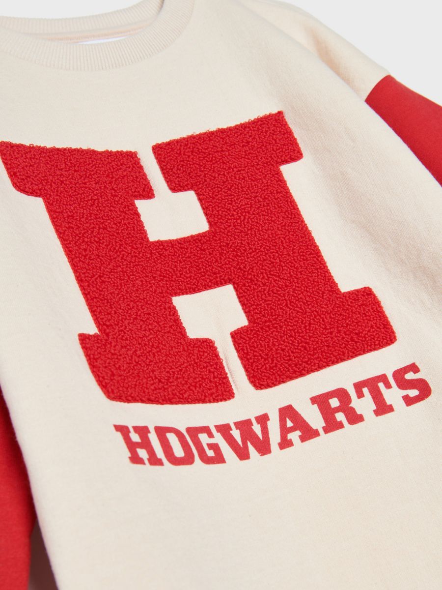 Bluza Harry Potter Kolor wielobarwny  XQ191-MLC