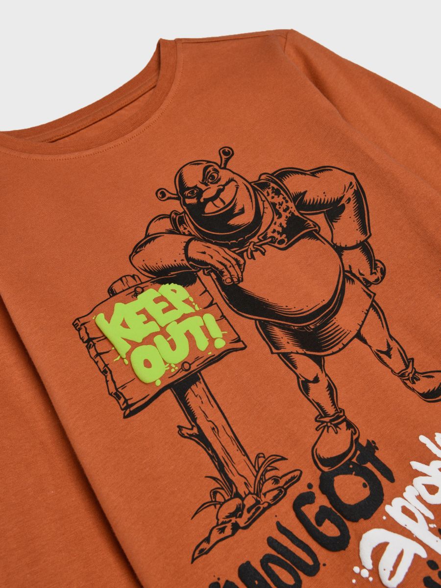 Koszulka Shrek Kolor brązowy  3947X-84X