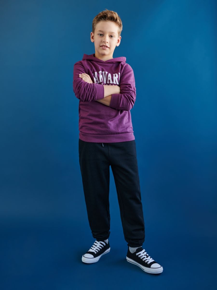 Bluza Harvard Kolor fioletowy  4327O-34X