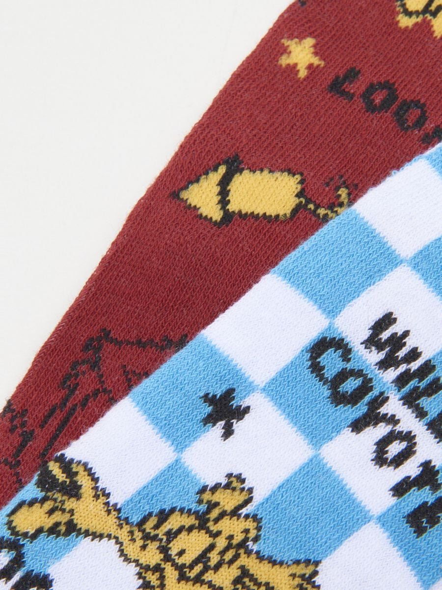 Skarpetki Looney Tunes 2 pack Kolor wielobarwny  3533F-MLC