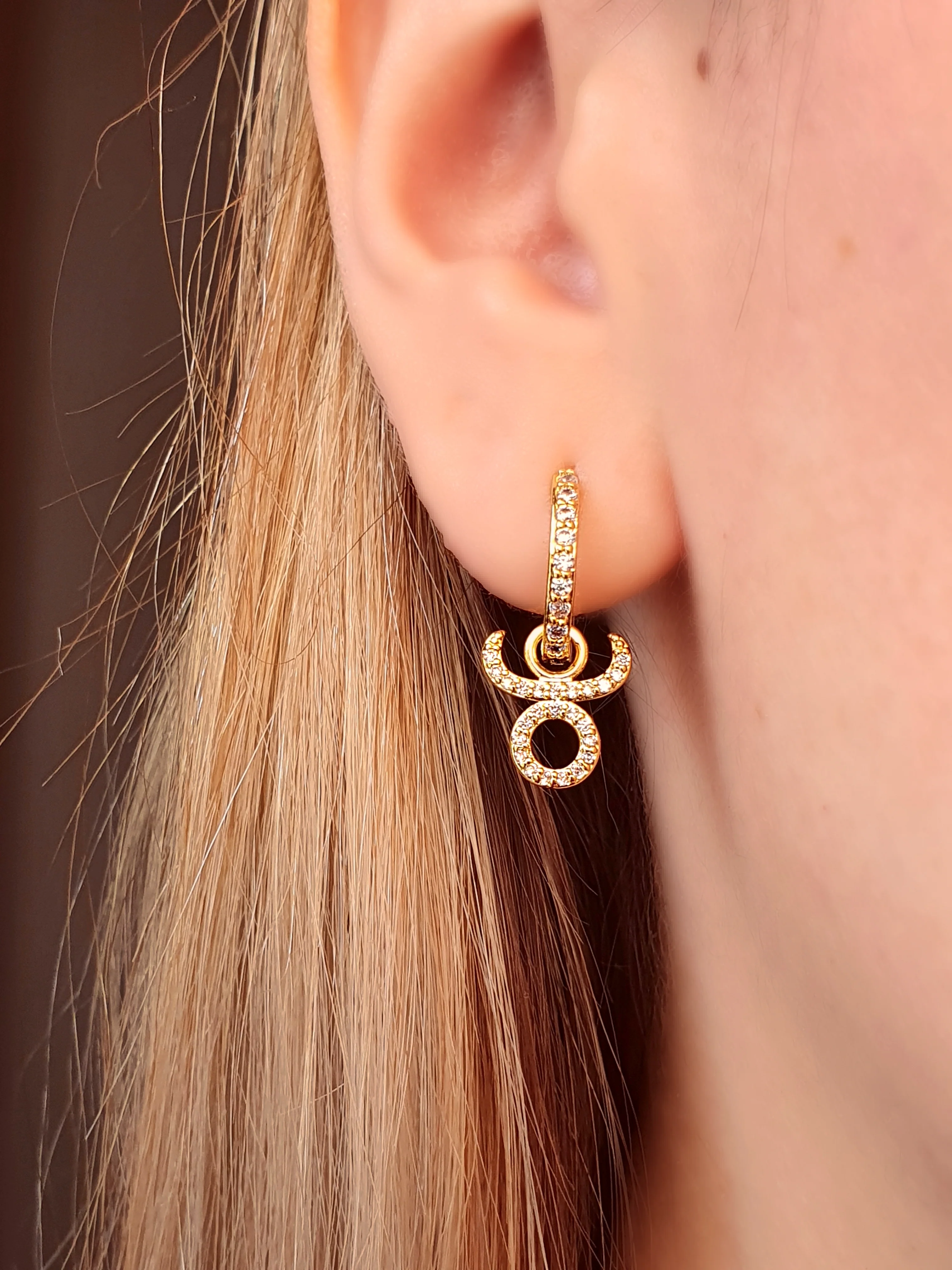 Zodiac huggies Tauro