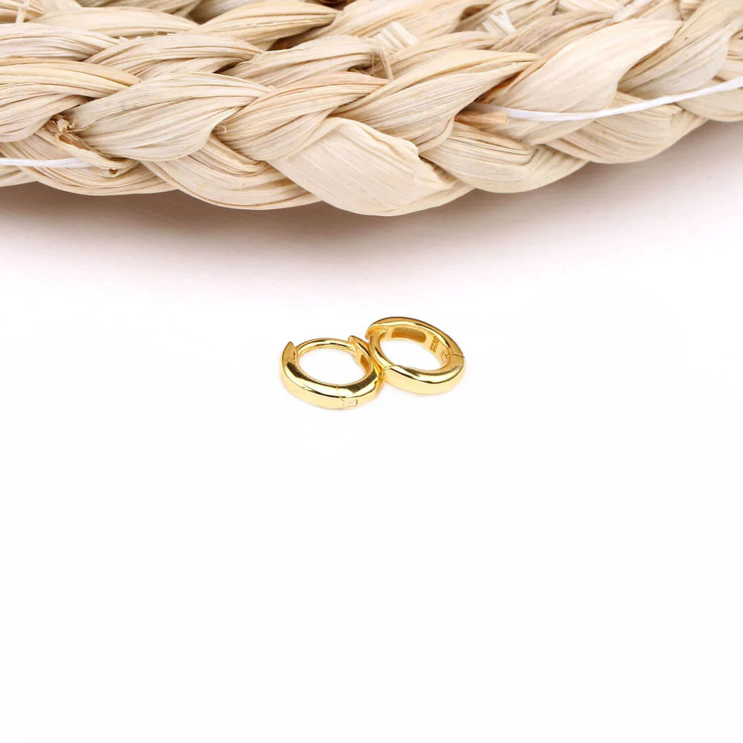 Small Gold Hoop Earrings