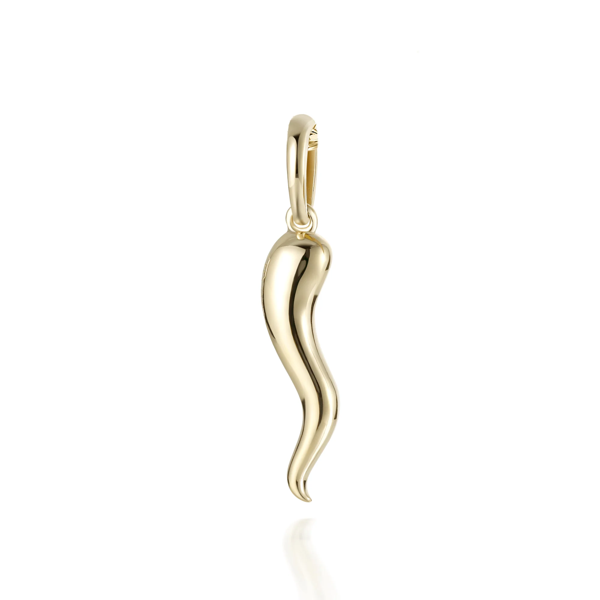 Small Italian Horn Pendant