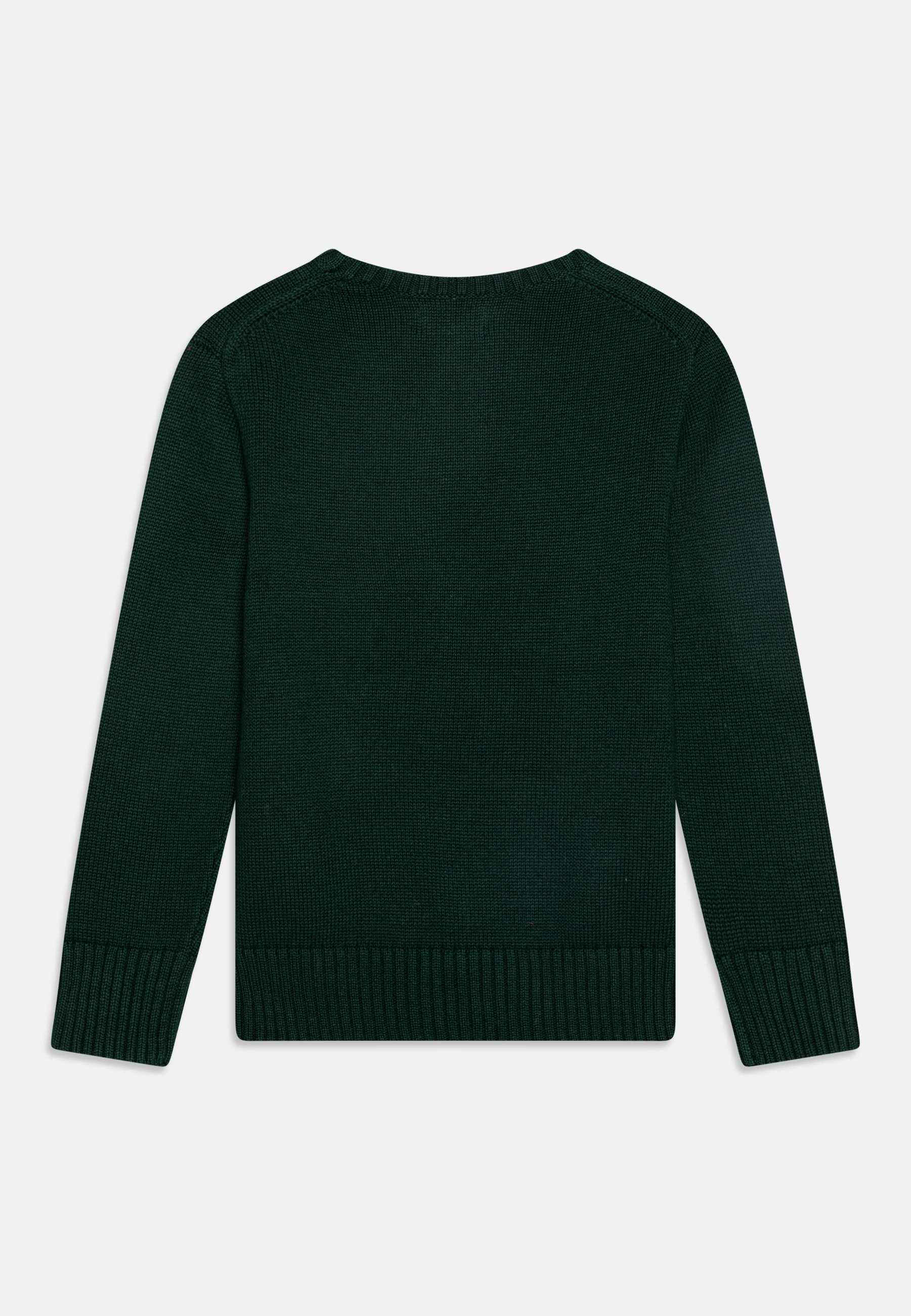 Polo Ralph Lauren DOG - Jumper - moss agate/dark green