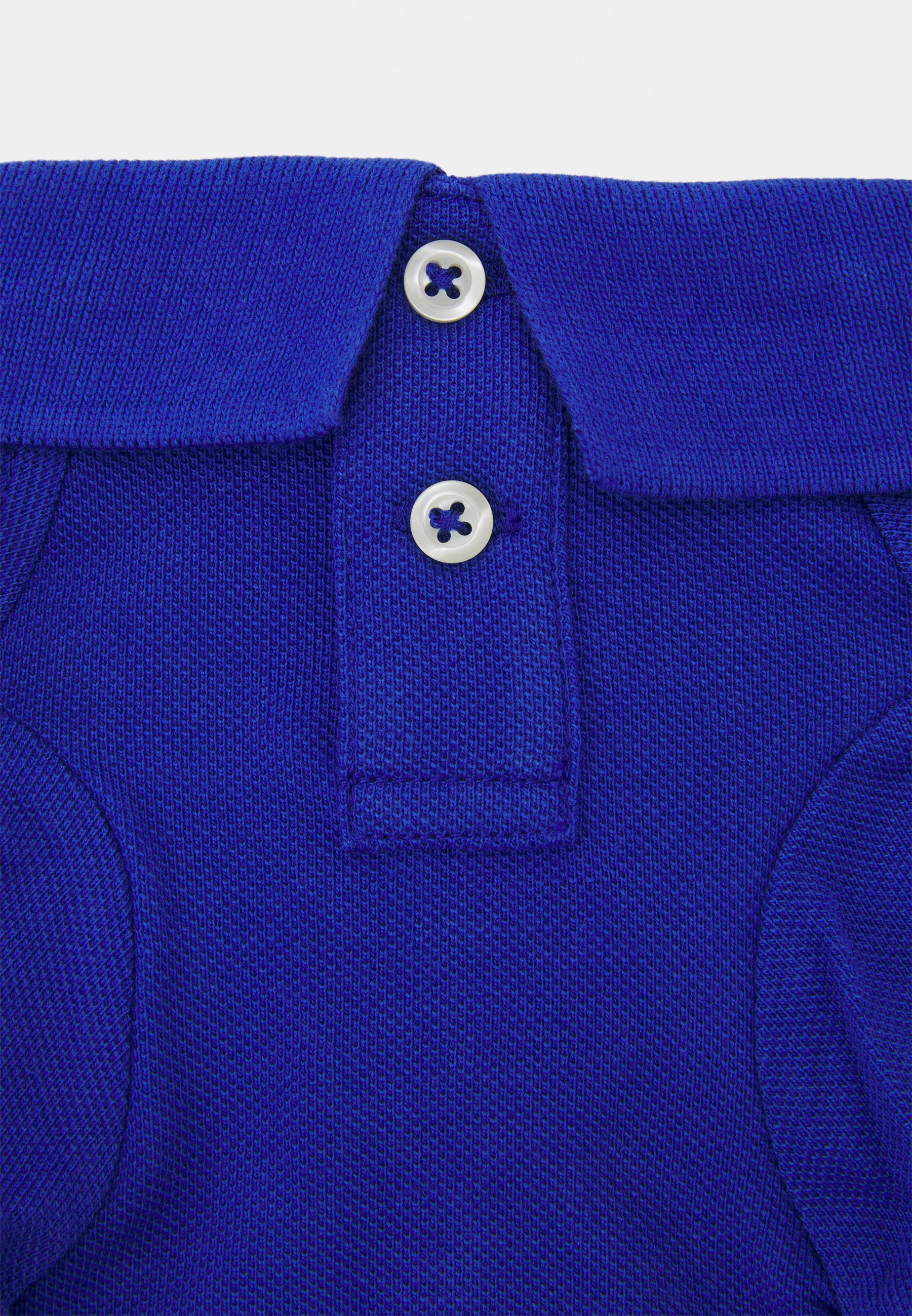 Polo Ralph Lauren BIG PONY DOG POLO SHIRT UNISEX - Pet accessory - bright royal/blue
