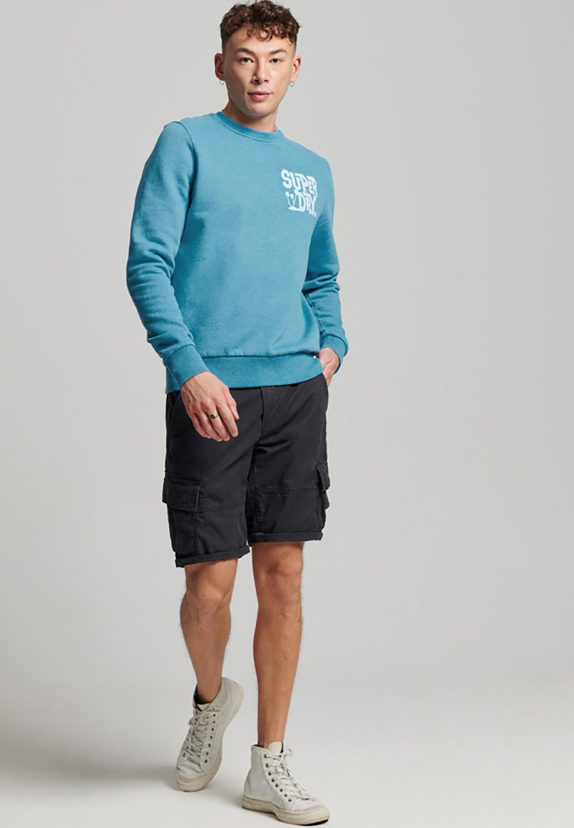 Superdry TRAVEL STICKER CREW - Sweatshirt - electric blue/blue