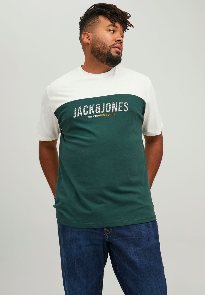 Jack &Jones JJEDAN BLOCKING O NECK - Print T-shirt - pine grove/green